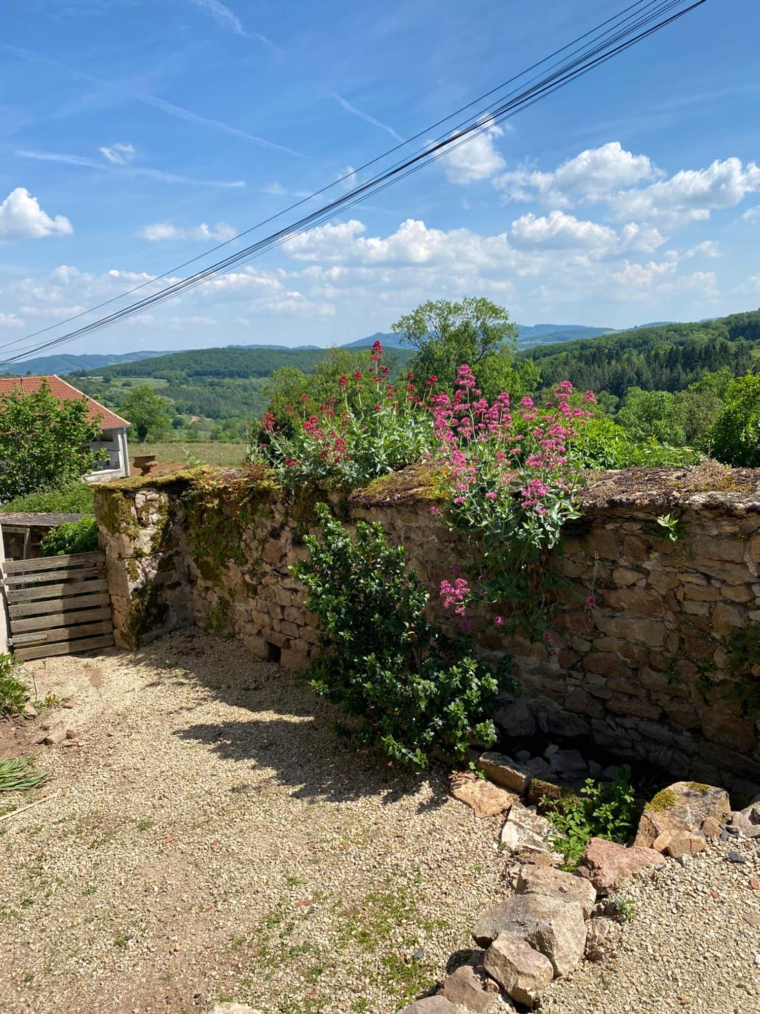 Ferme Fleurie Bed and Breakfast Bergesserin Exteriör bild